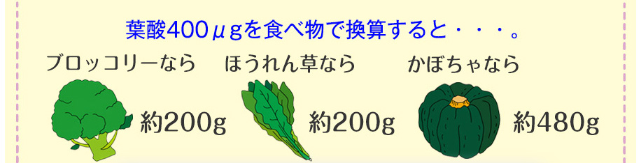 葉酸400μgの食べ物
